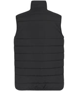 Regatta Essential Thermal Bodywarmer