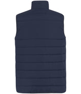 Regatta Essential Thermal Bodywarmer